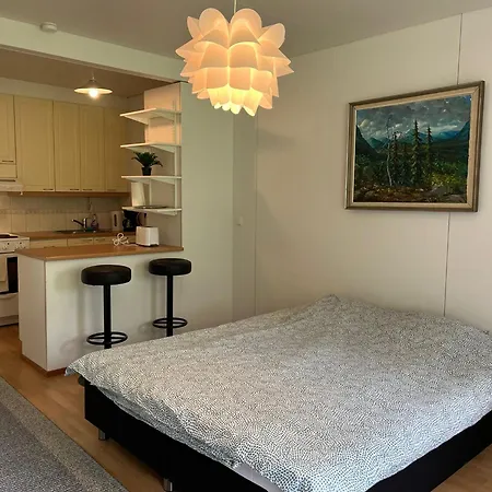 Апартаменты Yksioe Nuutajarvi